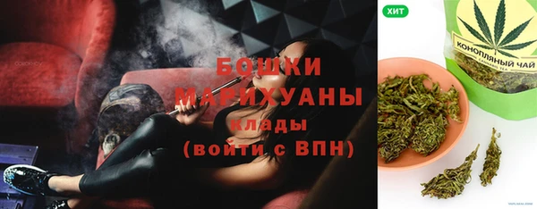 гашик Карпинск
