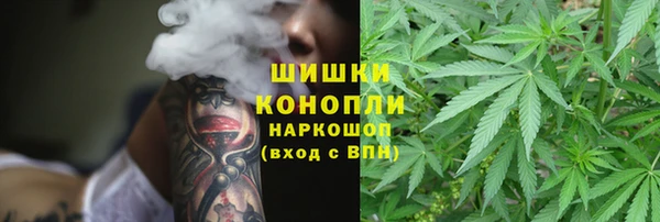 мдпв Козловка