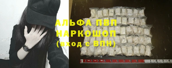 гашик Карпинск