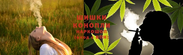 прущие грибы Киреевск