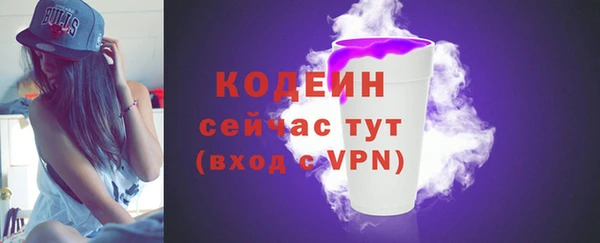 гашик Карпинск